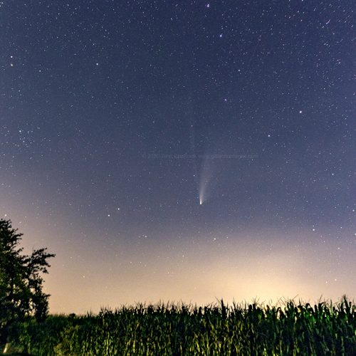 Comet NEOWISE Over Ohio Cornfield