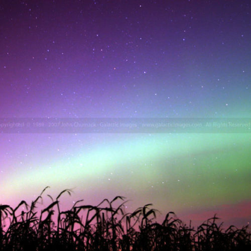 Aurora Borealis photo over Corn Field