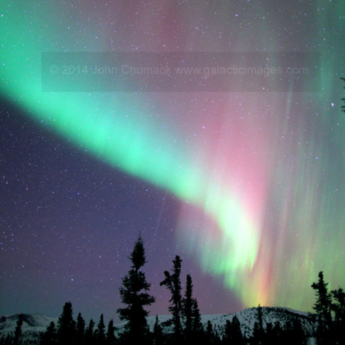 Alaska Aurora Borealis Photo #1730