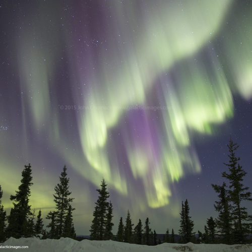 Alaska Aurora 2015 Photo #4291