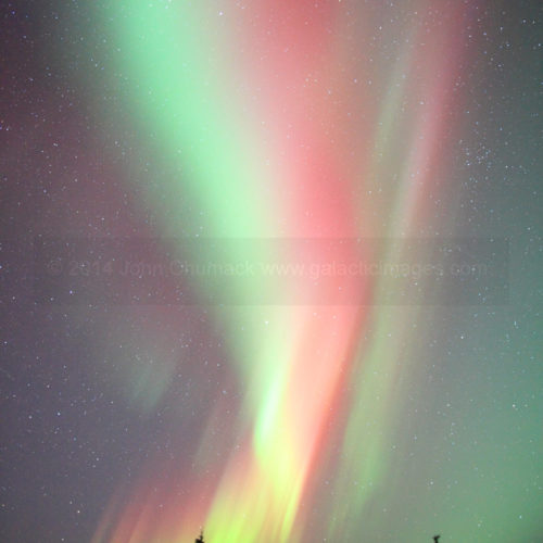 Alaska Aurora Borealis Photo #1631