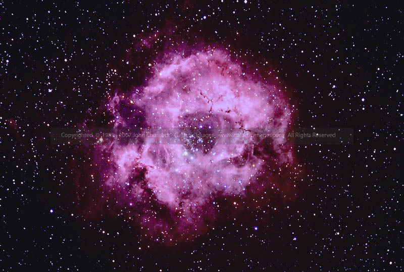 pink nebula