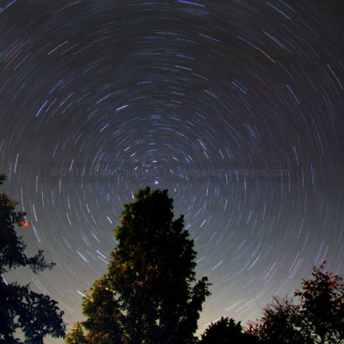 Polaris & Circumpolar Star Trails 30 minute Photos